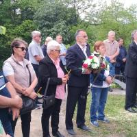 Parastos U Glini 12