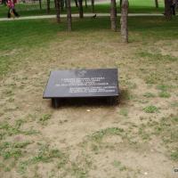 Foto20110804 14