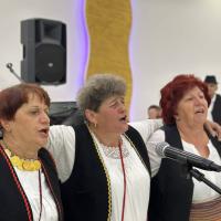 Banijsko Vece 27