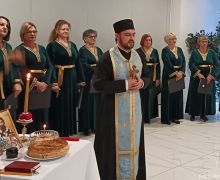 sveti-sava-sisak-6.jpg