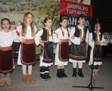 paketici-banijaimg-3801.jpg