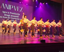 anip-vez-2.jpg