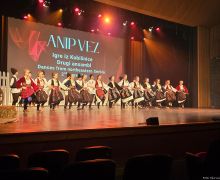 anip-vez-8.jpg